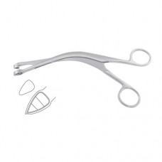 Faure Biopsy Forcep Stainless Steel, 21 cm - 8 1/4" Bite Size 8.4 mm